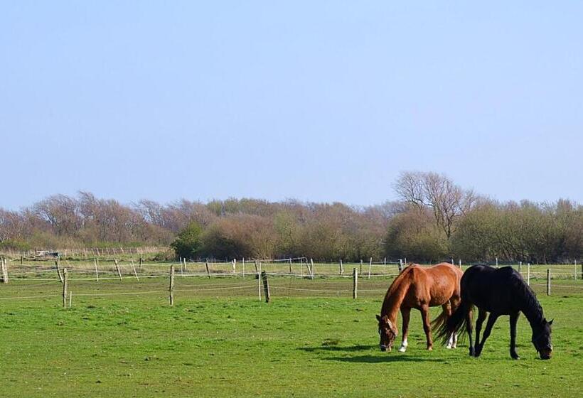 Отель Weisse Düne