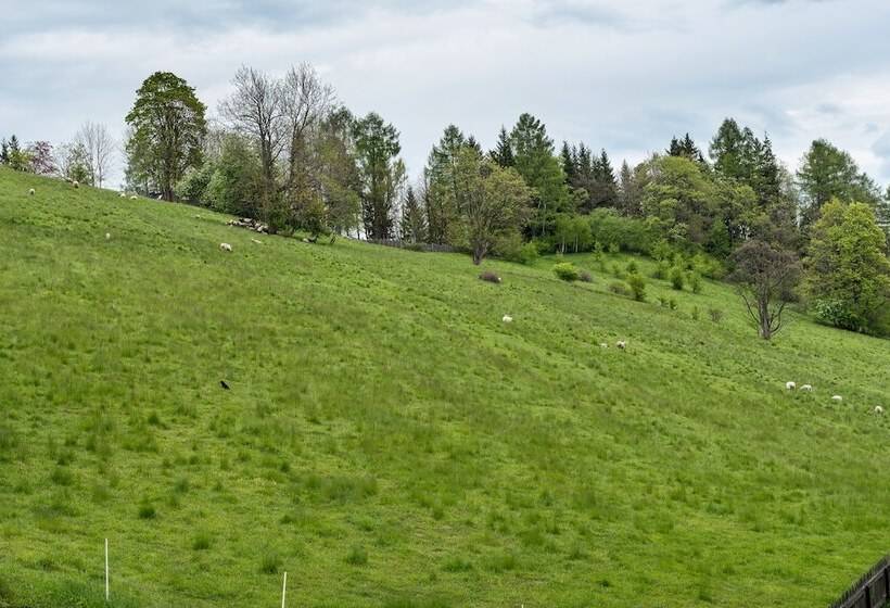 هتل New Willa Jan