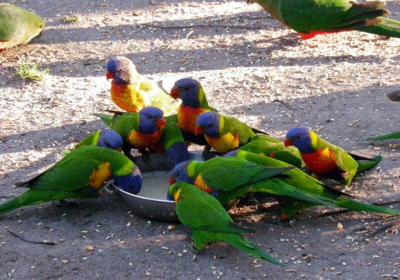 Kalimna Woods Cottages