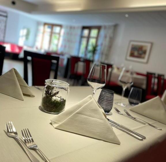 بنسيون & Restaurant Fischer