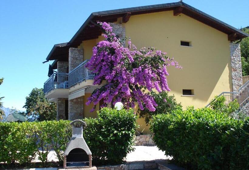 住所  Taki Village