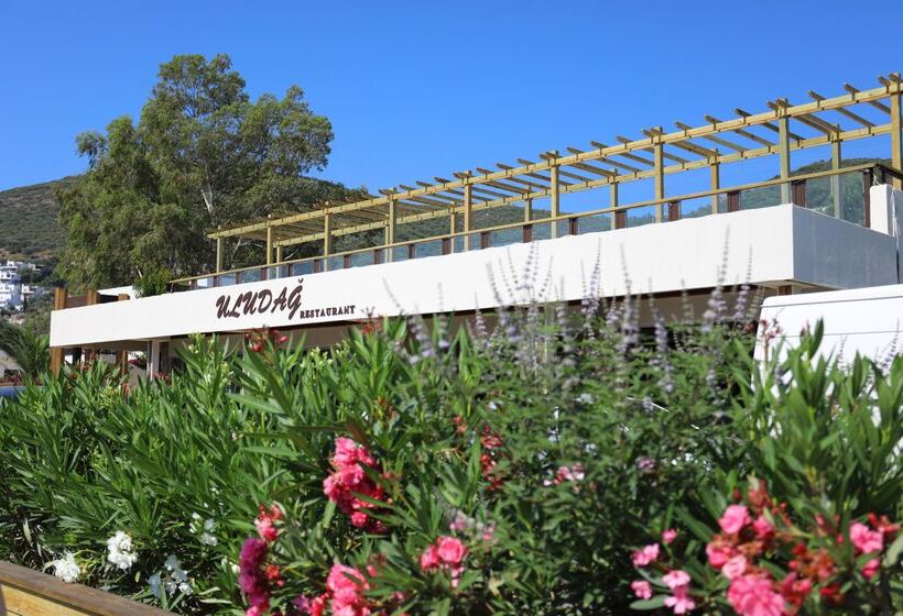 Trendlife Hotels Torba