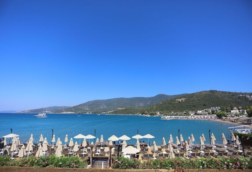 Trendlife Hotels Torba