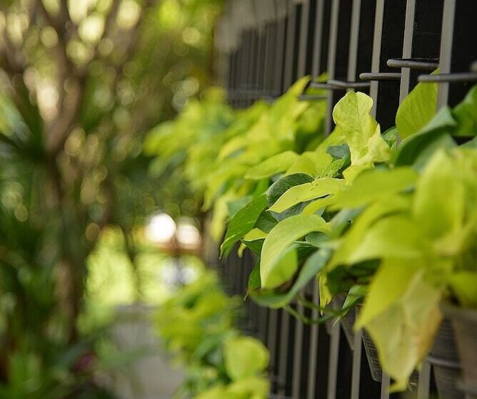 호텔 Shintana Saya La Maison