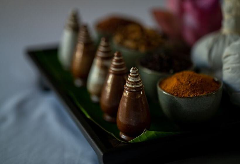 호텔 Shintana Saya La Maison