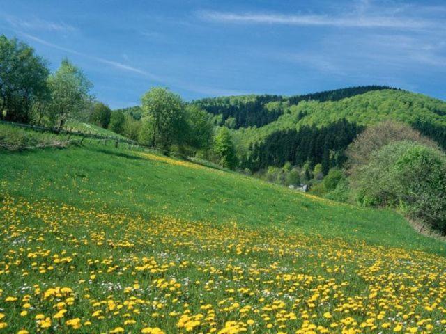 リゾートホテル Typ Dachsbau