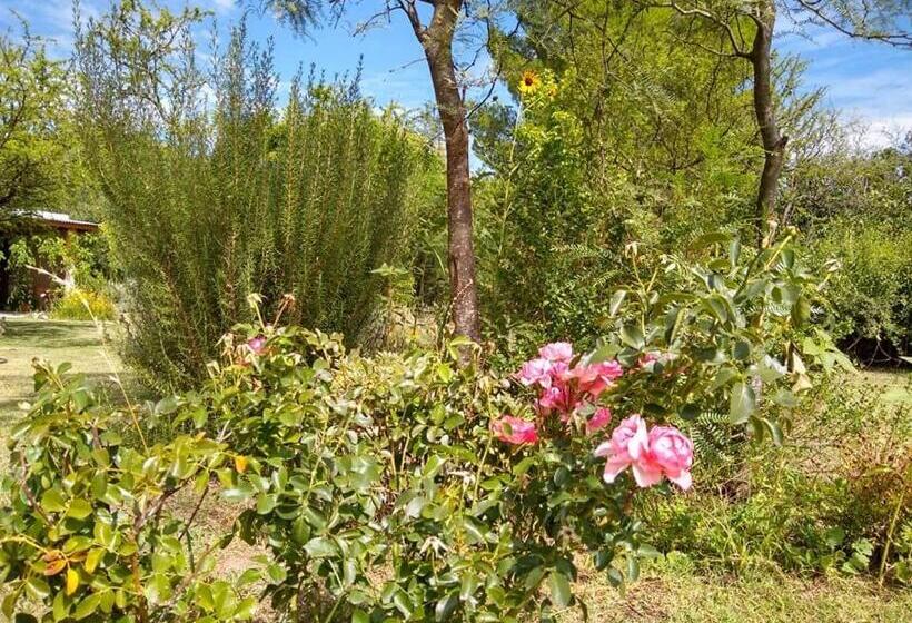 민박 Surya En La Casa De Nanda