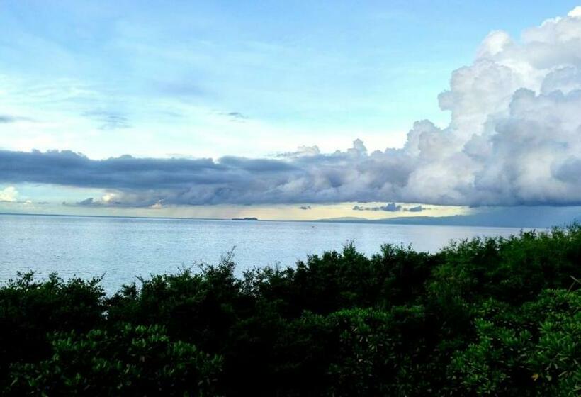 هاستل Cliff Garden