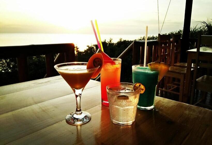 هاستل Cliff Garden