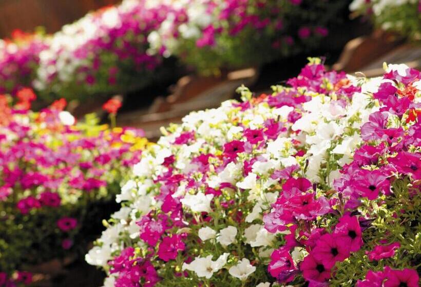 Appartement Hotel Garni Matthäuserhof