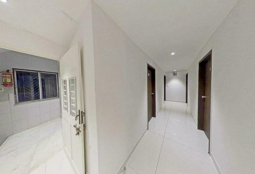 Отель Nova Star