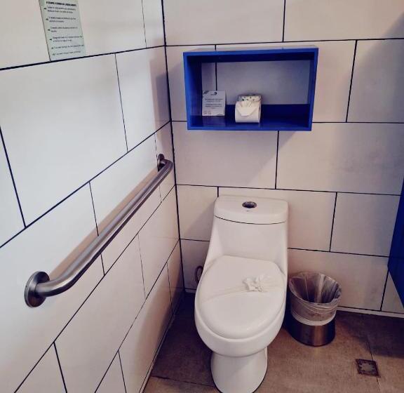 فندق Marino Ballena