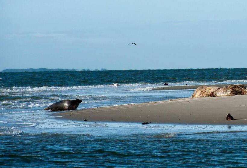 Insel Land Hotel Michaelsen Im Ostland