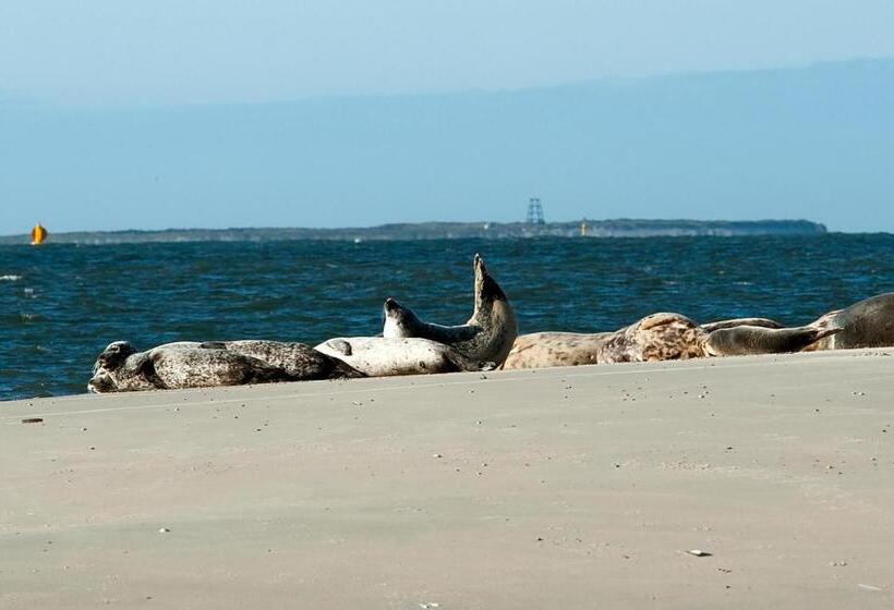 Insel Land Hotel Michaelsen Im Ostland