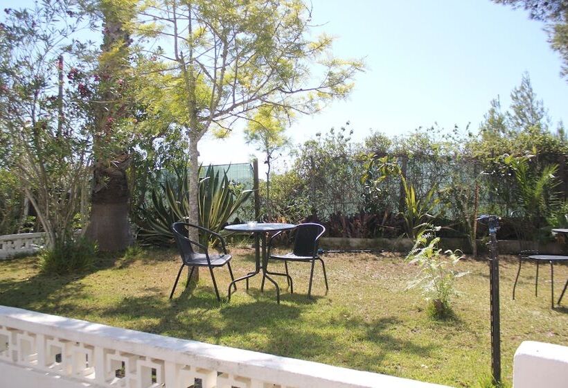 住宿加早餐  Villa Alcaide