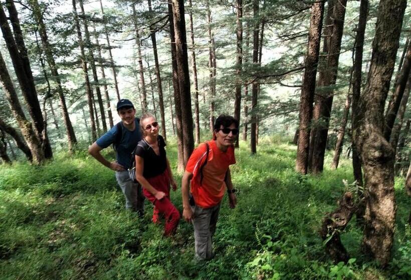 Отель Hassan Valley Retreat