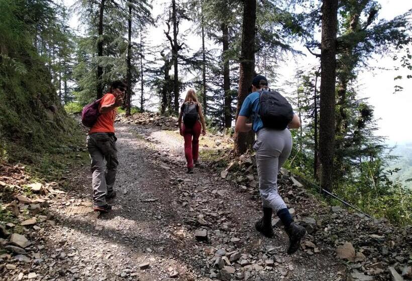 Отель Hassan Valley Retreat