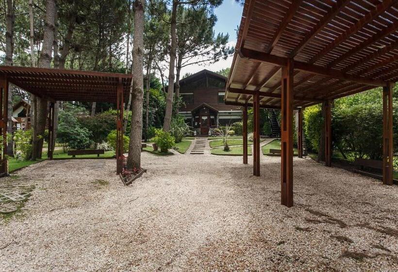 Cabañas La Mandrágora