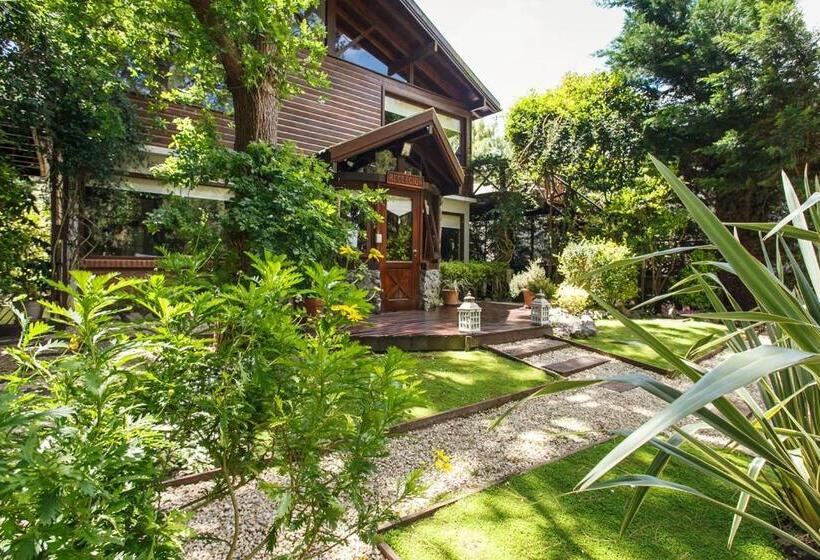 Cabañas La Mandrágora