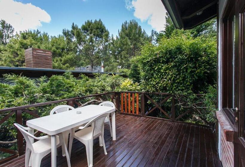 Cabañas La Mandrágora