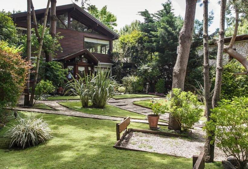 Cabañas La Mandrágora