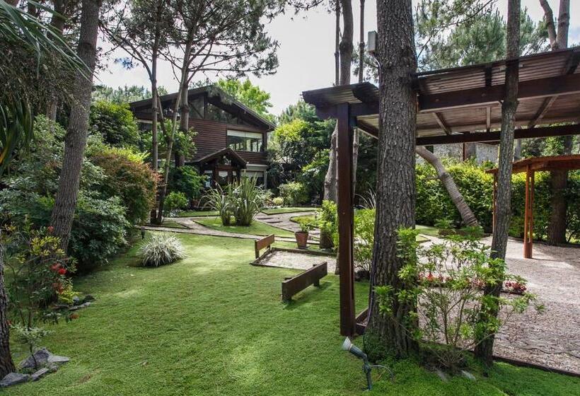 Cabañas La Mandrágora