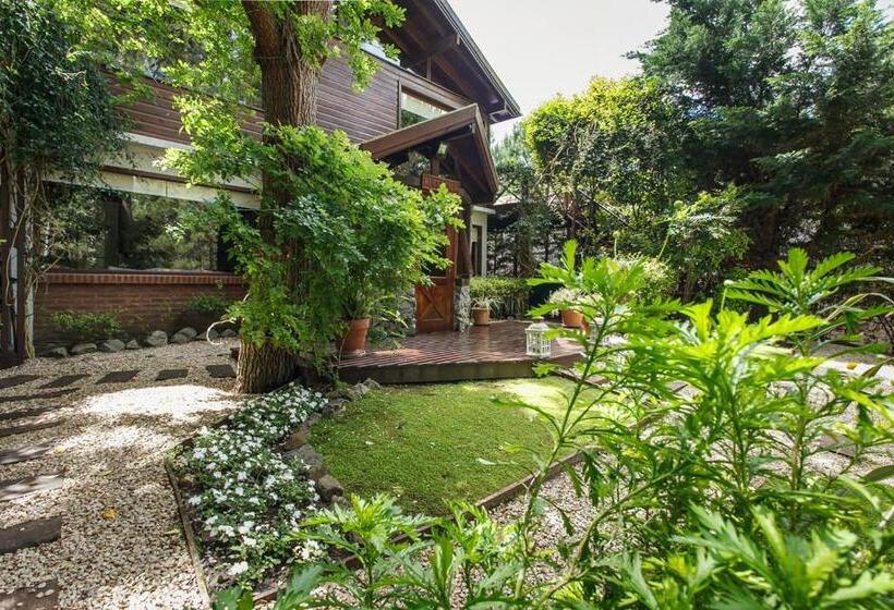 Cabañas La Mandrágora