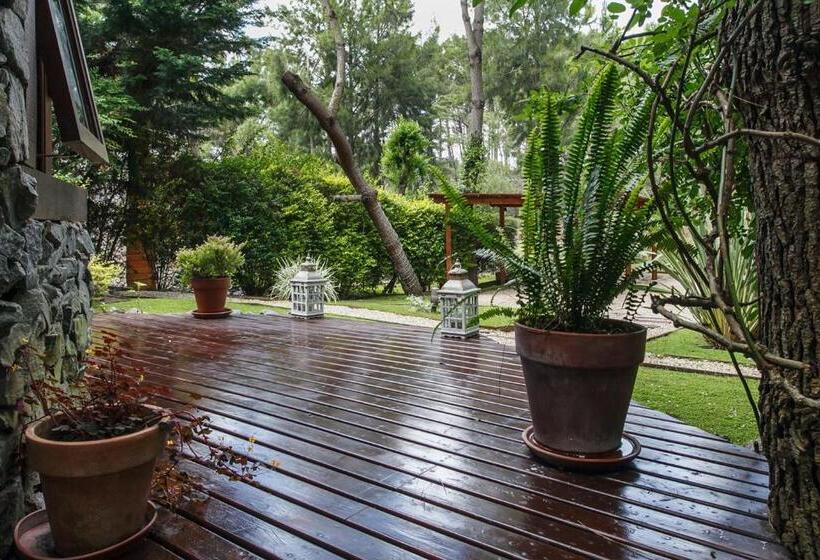 Cabañas La Mandrágora