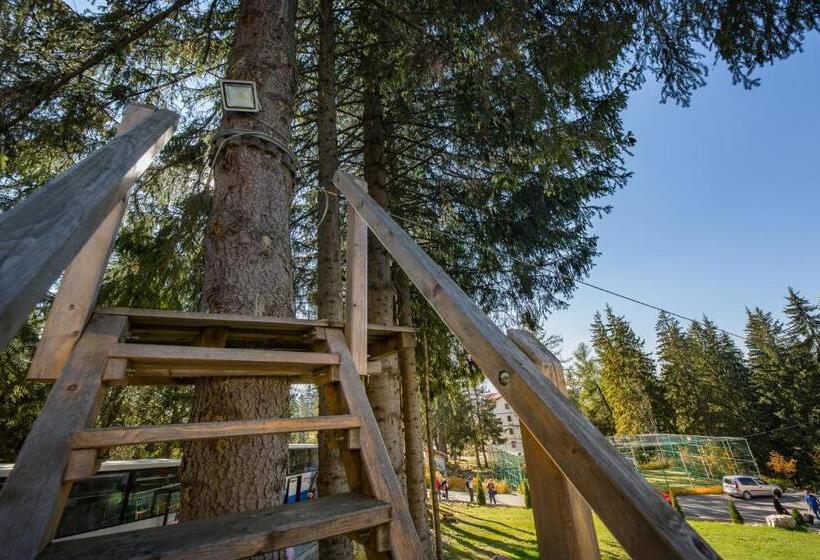 בית מלון כפרי Eden 5