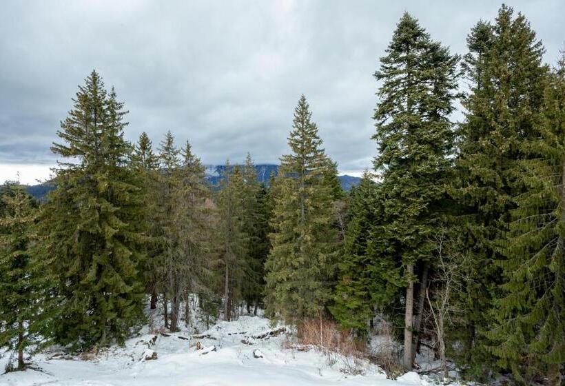 בית מלון כפרי Eden 5