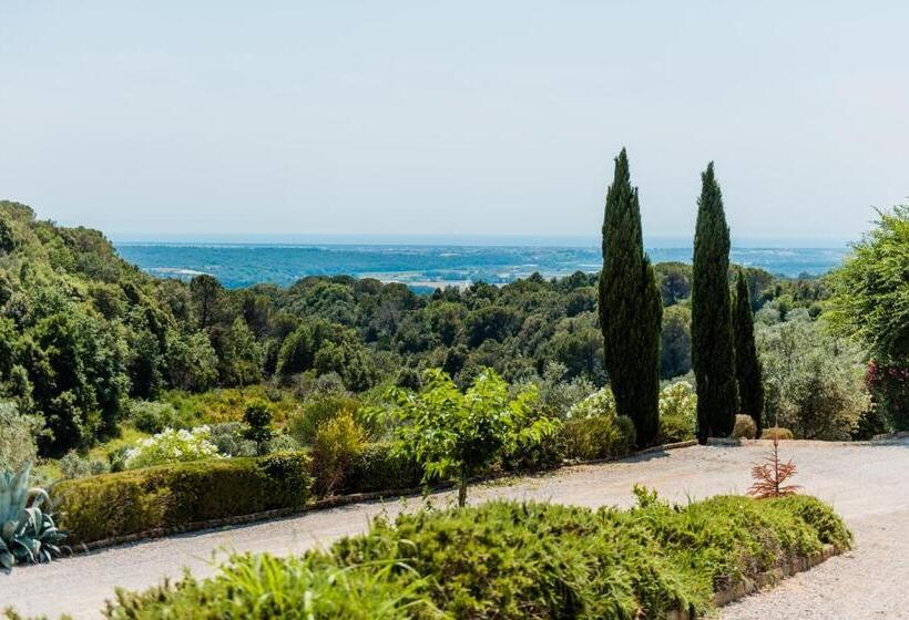 Residence Borgo Felciaione