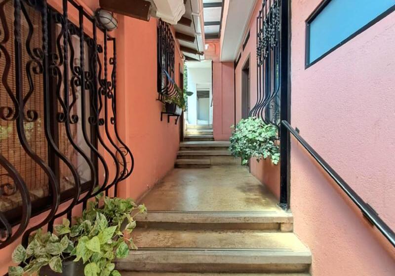 호스텔 Rossa Palma