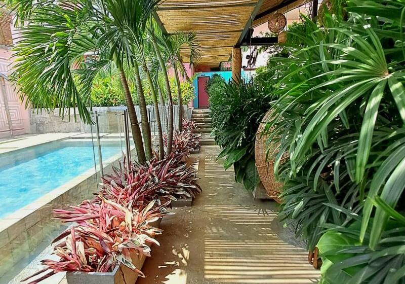 호스텔 Rossa Palma