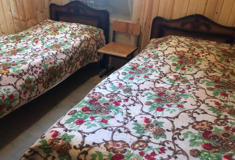 پانسیون Guesthouse Svani