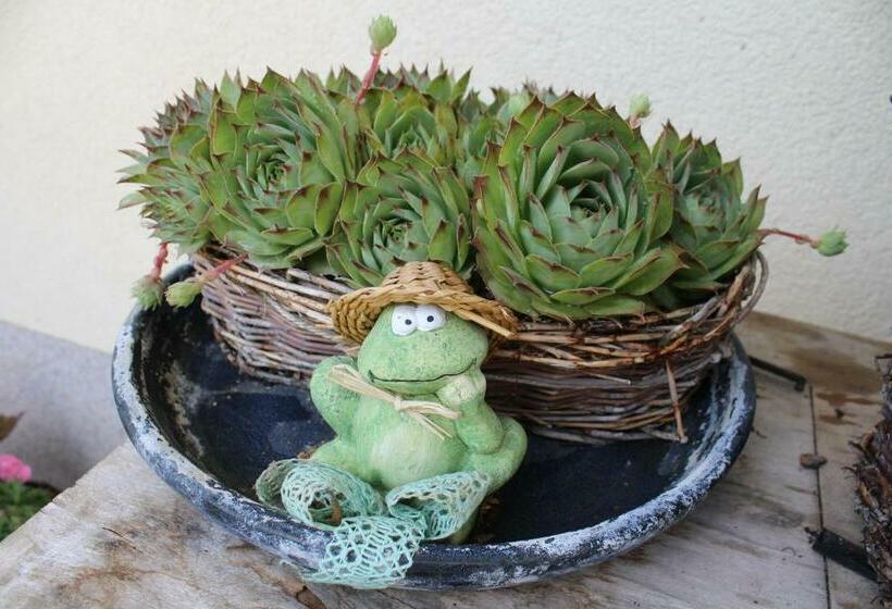 Appartementhaus Das Mittelpunkt