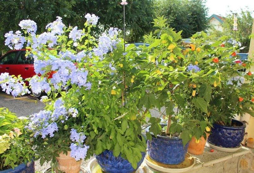 Appartementhaus Das Mittelpunkt