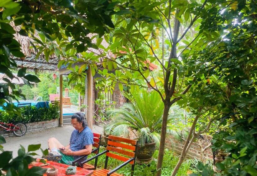 تختخواب و صبحانه Tam Coc Little River Bungalow