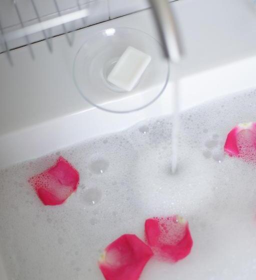 بنسيون Delle Rose Inn