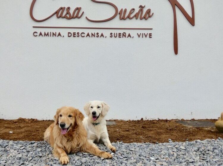 בית מלון כפרי Casa Sueño