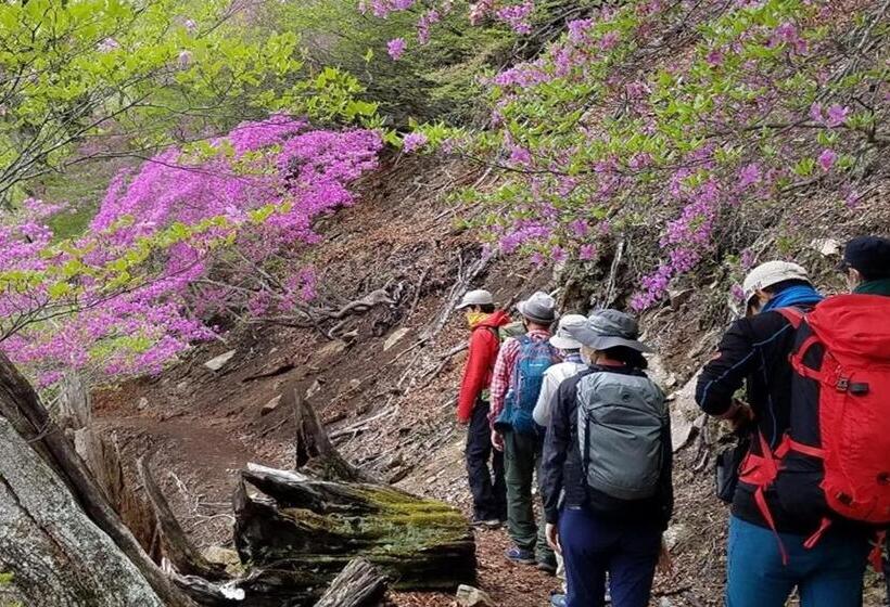 פנסיון Okunikko Guesthouse Jun