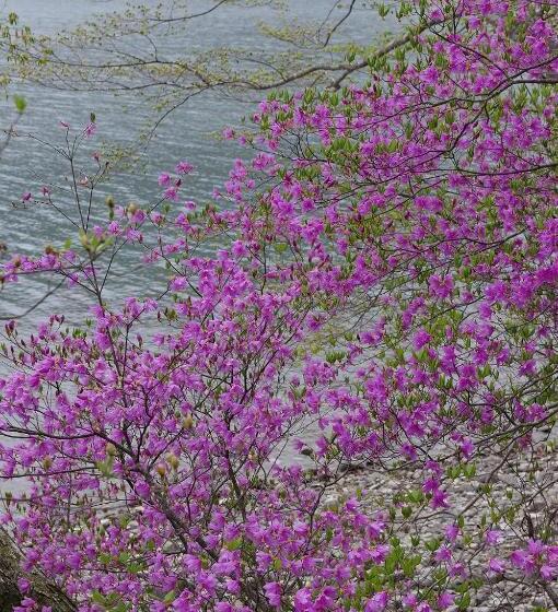 بنسيون Okunikko Guesthouse Jun