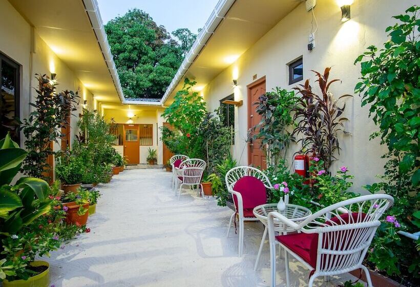 پانسیون Paguro Villa