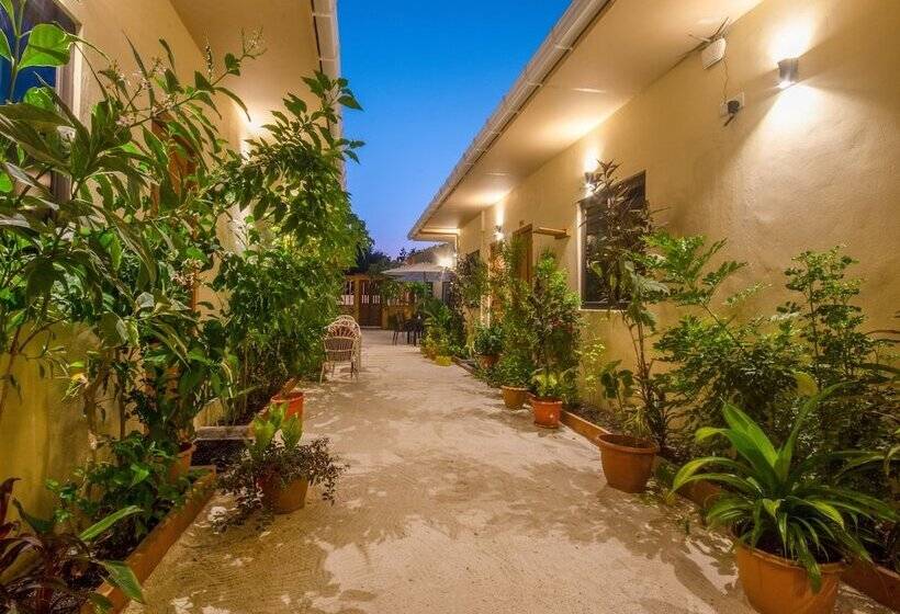 پانسیون Paguro Villa