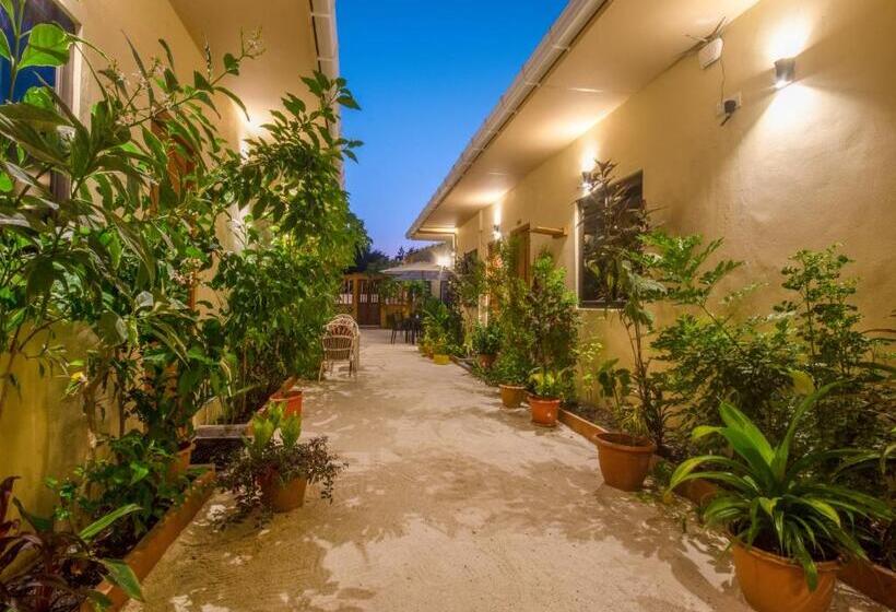 پانسیون Paguro Villa