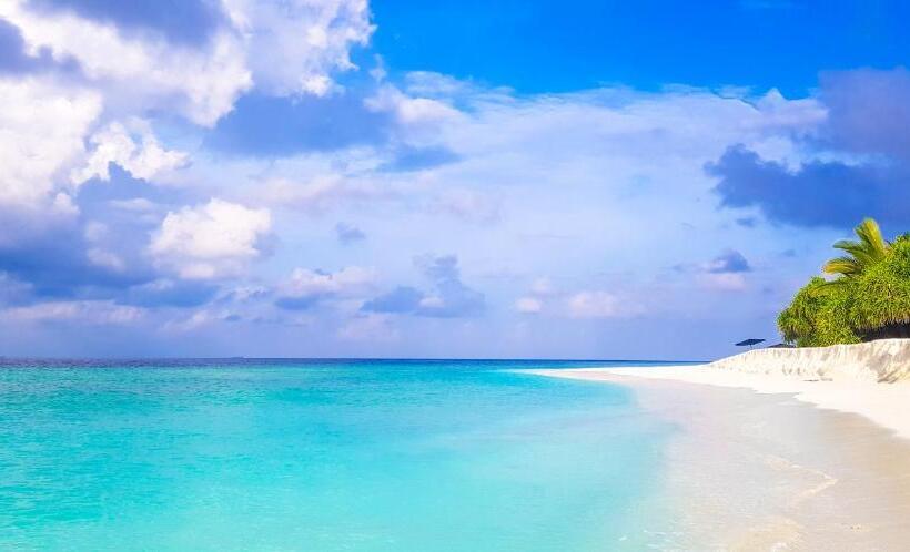 پانسیون Paguro Villa