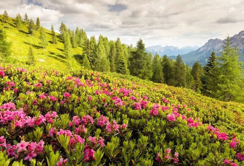 Active Hotel La Torre