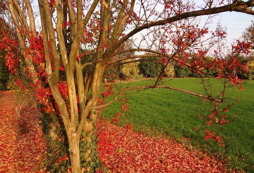 Agriturismo La Risarona