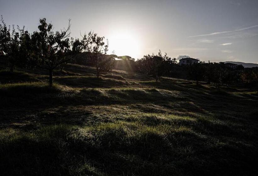 Agriturismo Podere L'agave