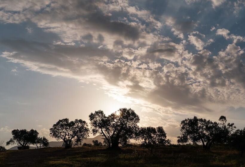 Agriturismo Podere L'agave