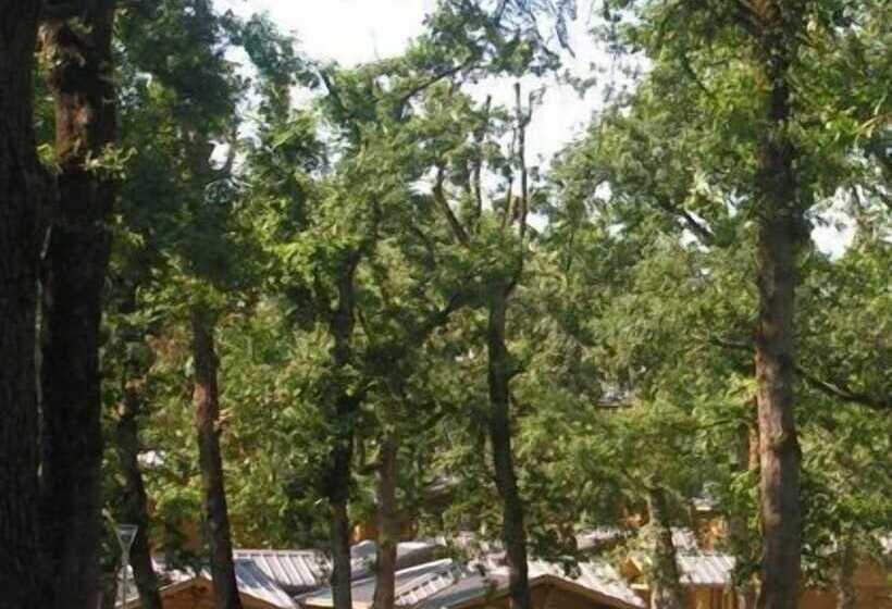 Albirondack Park Camping Lodge And Spa